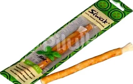 mentă dinți