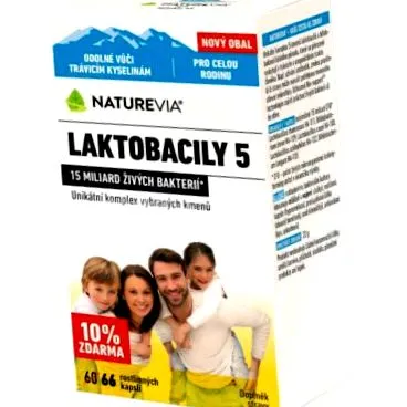 lactobacili