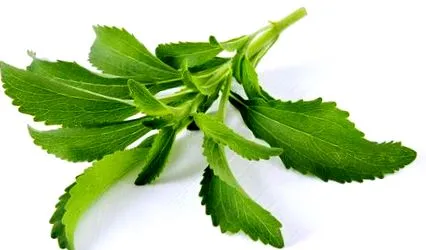cunoaștere