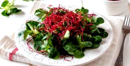 rucola