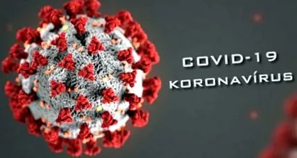 coronavirus covid