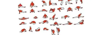 Mușchiul este stretching