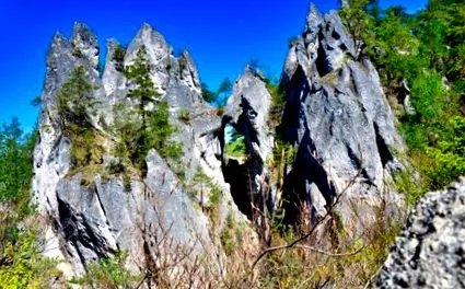 rocks