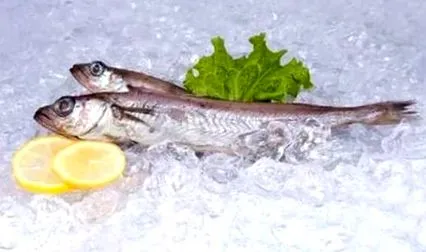 codul peștilor