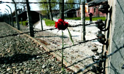 auschwitz părți