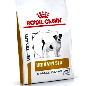 canin canine
