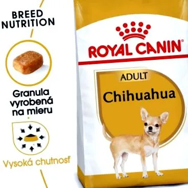 chihuahua căutare