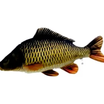 căutați