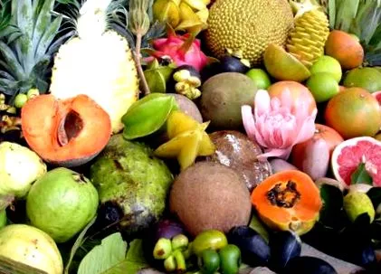 vitamina