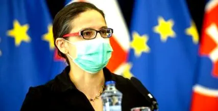 consiliului guvernul