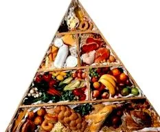 nutriției principiile