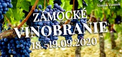castel 2020 INTRARE