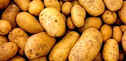 utilizare cartofi