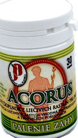 acorus