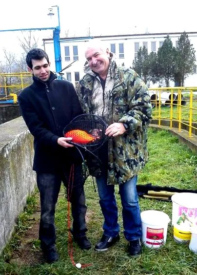 mert mert