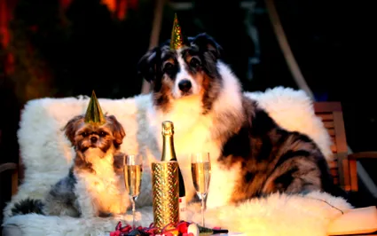revelion