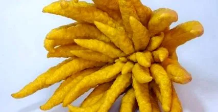 alfabet mână