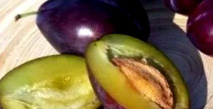 prune