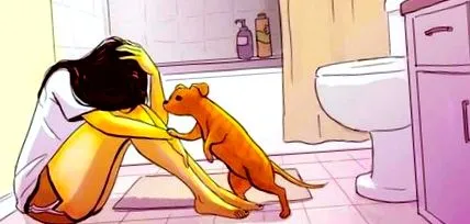 bucăți