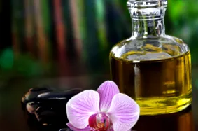 materialul vegetal materialul vegetal