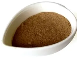 egészség