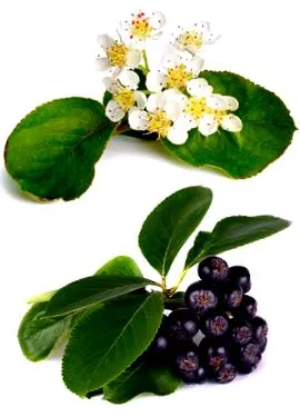 negru