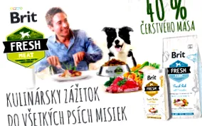 pentru câini