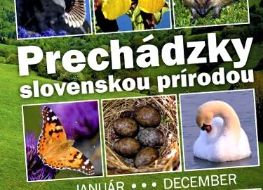 bandiții slovaci