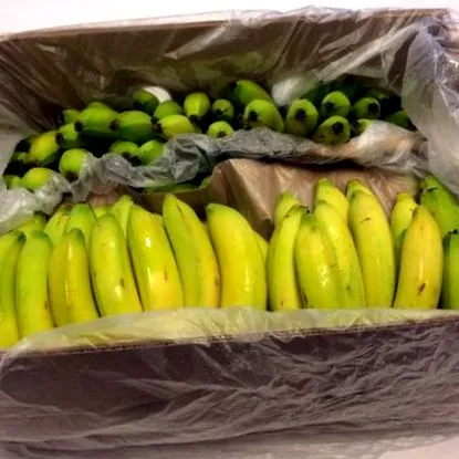 banane