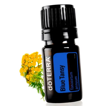 tansy