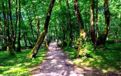 altă vacanță