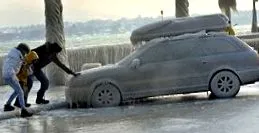 pentru piele