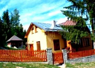 vyšné