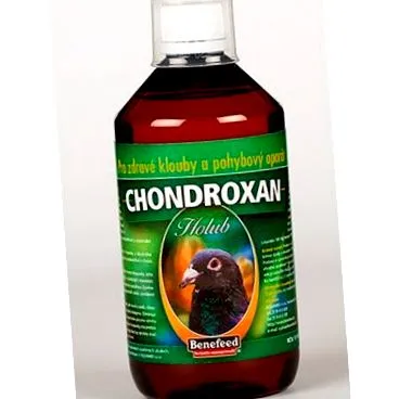 chondroxan