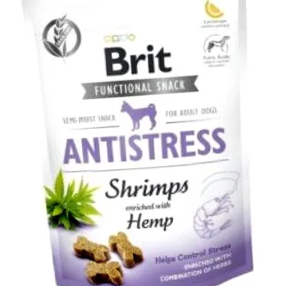 brit