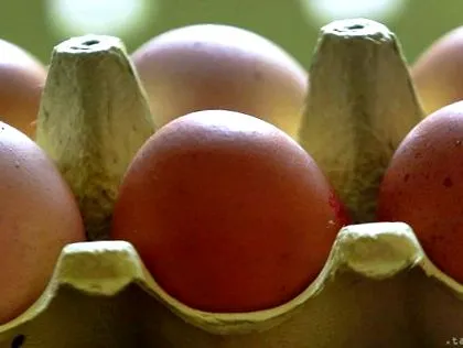 identificat bystrice