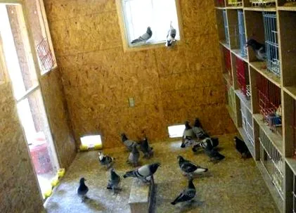 лечение срещу
