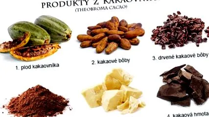 cacao