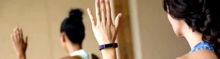 fitbit vrei