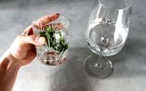 corpul detox