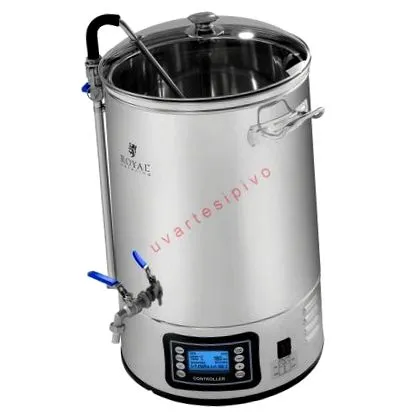 micro-bruterii interne