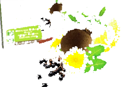 detox
