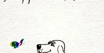 съвет