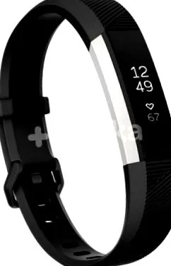 fitbit fitbit
