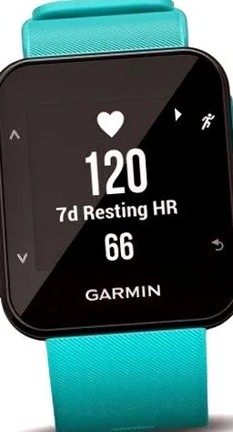 garmin albastru