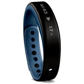 garmin