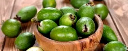 feijoa