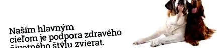 Procesul producție Procesul producție