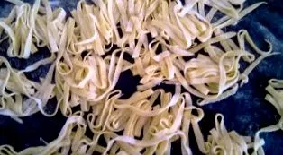 ciuperci