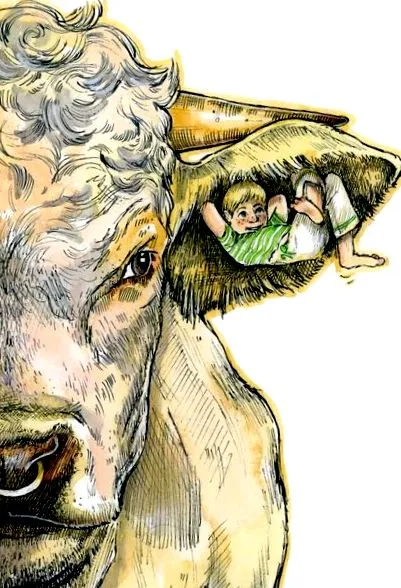 ilustratorul